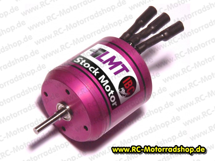 80005905: Brushless Motor LEHNER IBC Stock Bike 80005905