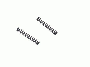 X80/B: NF Lenkungsfedern (2 St.) X80/B